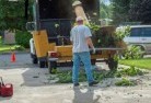 Woodsdaletree-cutting-services-13.jpg; ?>