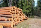 Woodsdaletree-cutting-services-31.jpg; ?>